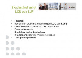 Skadestånd enligt LOU och LUF