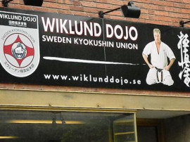 Wiklund Dojo Tester och Träning foto: All Sport & Idrott